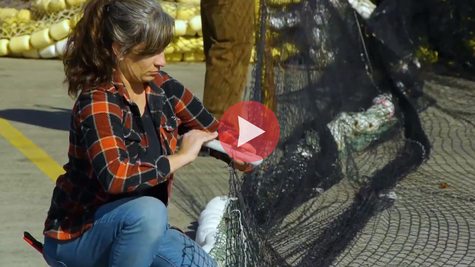 Port of Seattle Announces the Maritime Accelerator Program video (YouTube)