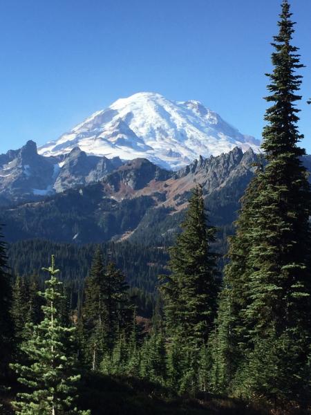 Snow‑covered mountain peak rising above forested ridges under a clear blue sky.