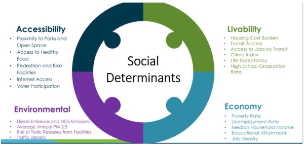 Infographic showing categories of social determinants.