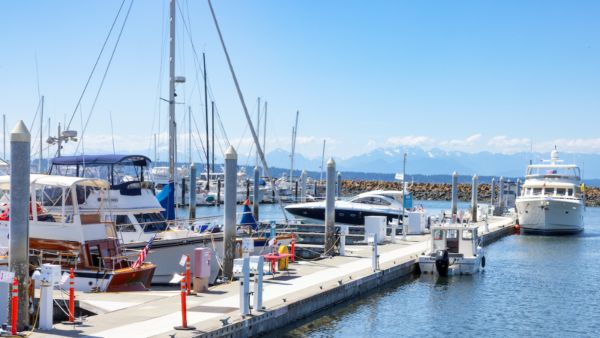 A marina with multiple boats docked along piers on a clear day, with calm water and distant mountains under a blue sky.