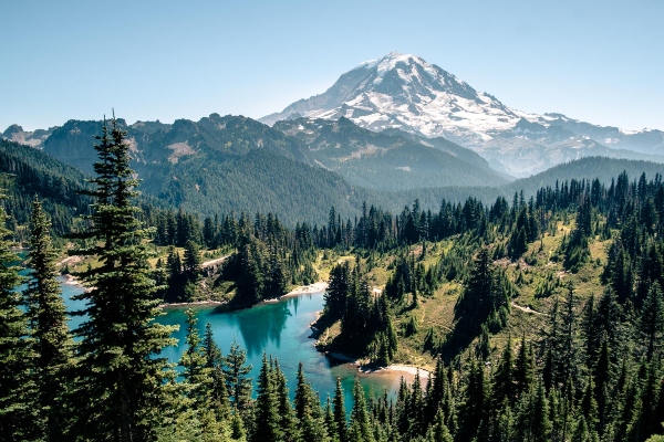 A blue mountain lake surrounded by dense forest with a large snow‑covered peak in the background.