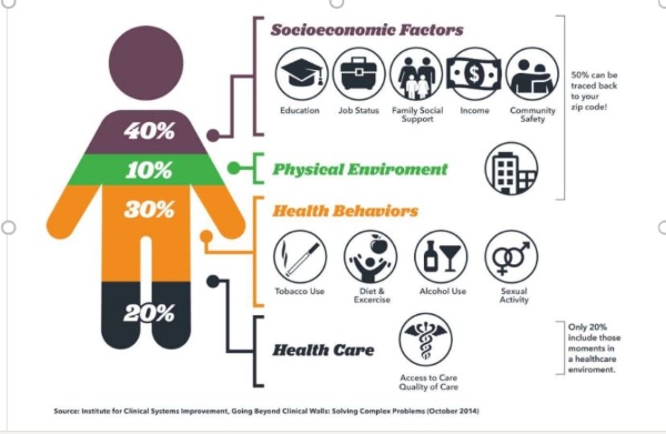 Infographic showing categories that influence health outcomes.