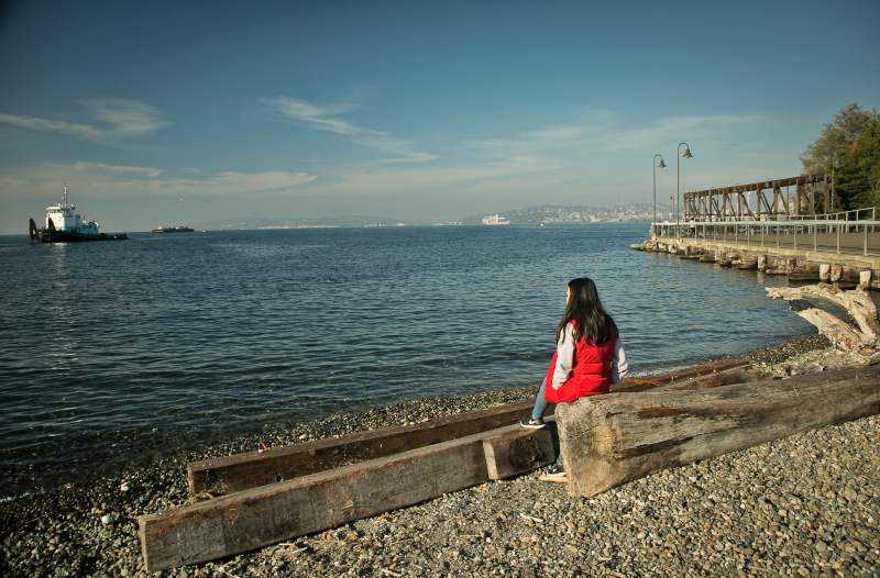 Puget Sound and ships from Jack Block Park.
