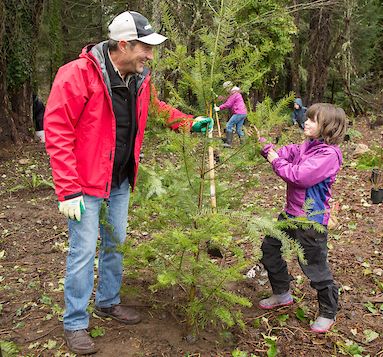 Commissioner Steinbrueck plants a tree.
