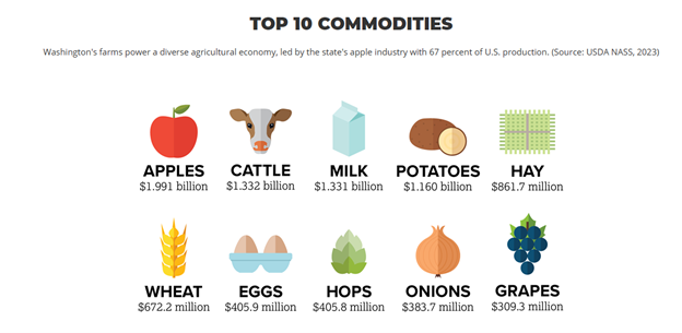 Graphic showing Washington’s top ten agricultural commodities with icons representing each item. Apples, cattle, milk, potatoes, hay, wheat, eggs, hops, onions, and grapes are displayed with their 2023 production values.