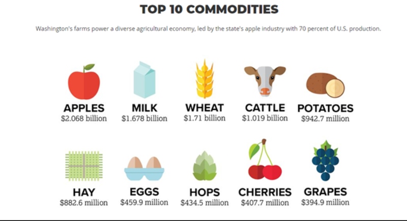 Icon graphic of Washington’s top 10 agricultural commodities, from apples to grapes, with a dollar amount for each