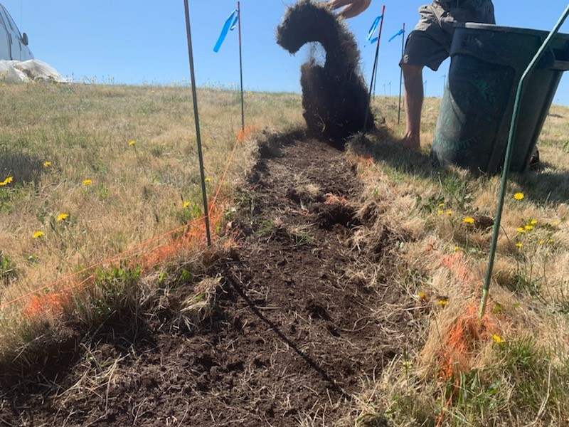 Digging the grass from the crack.