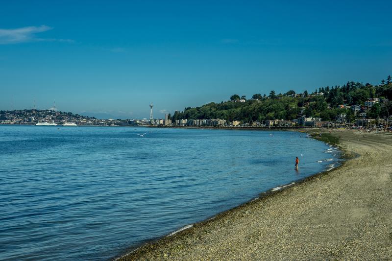 Alki Beach in West Seattle with Seattle skyline in background.