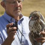 Aviation Wildlife 