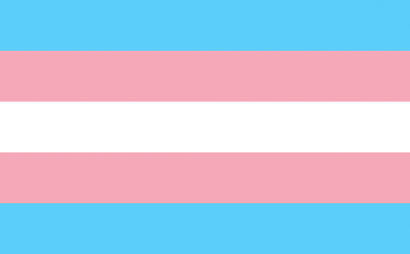 Transgender Pride Flag.