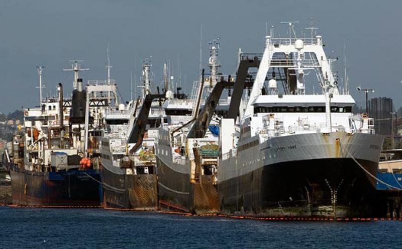 Fishing trawlers at Terminal 91