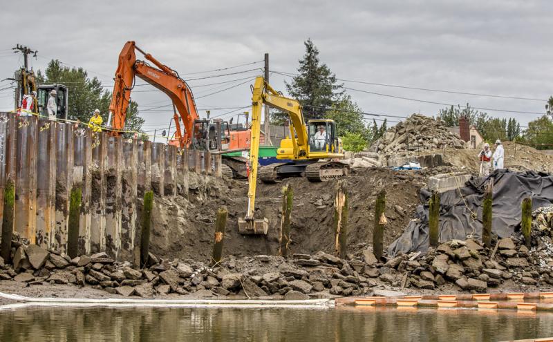 Duwamish Habitat Restoration