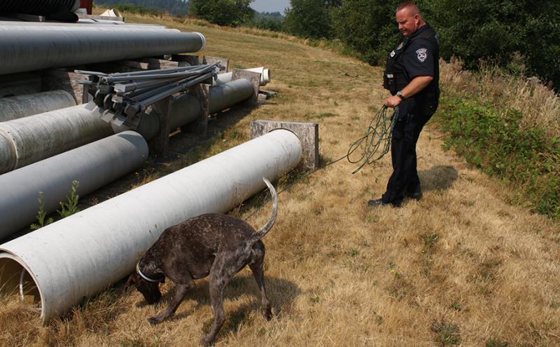 A canine inspects a pile of construction material, guided by an officer.
