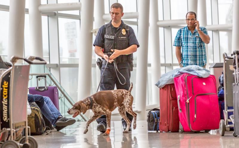 K9 Police offer surveys luggage.