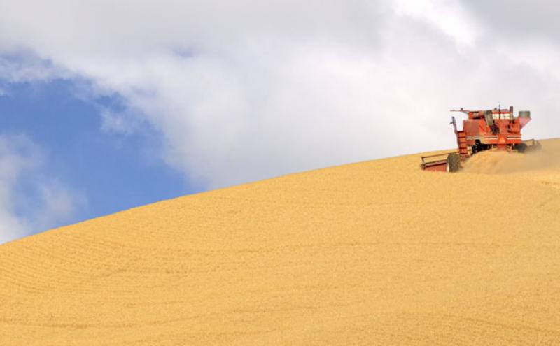 Wheat farming in the Palouse.