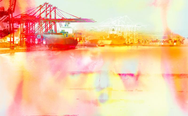 Harbor Morning.