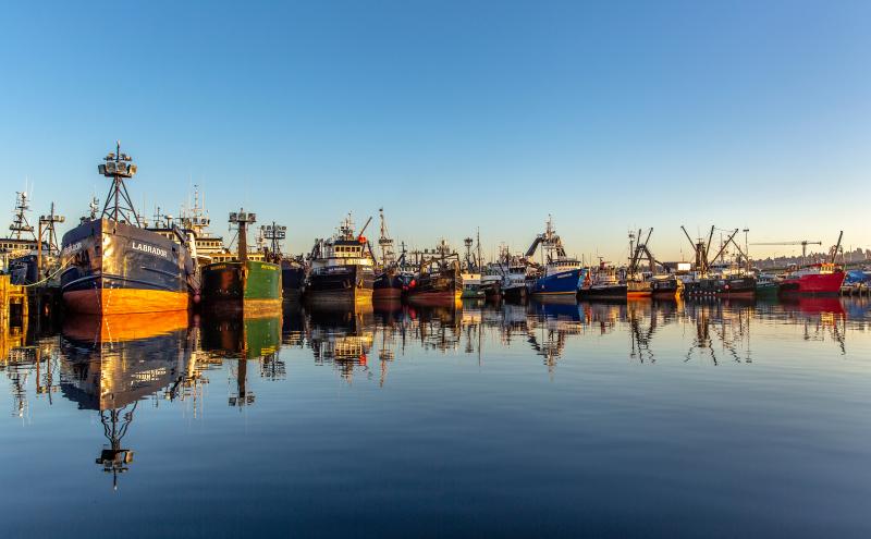 Boats at Fishermen's Terminal.