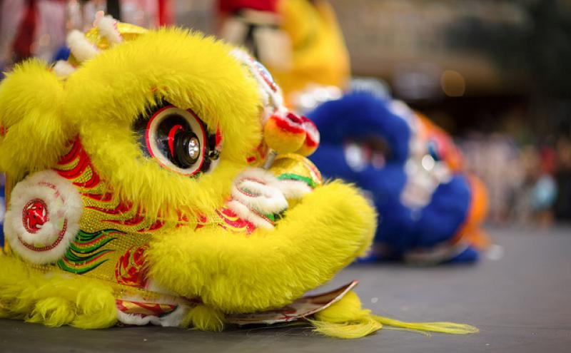 Lion dancer, lunar new year.