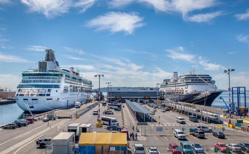 Cruise 7