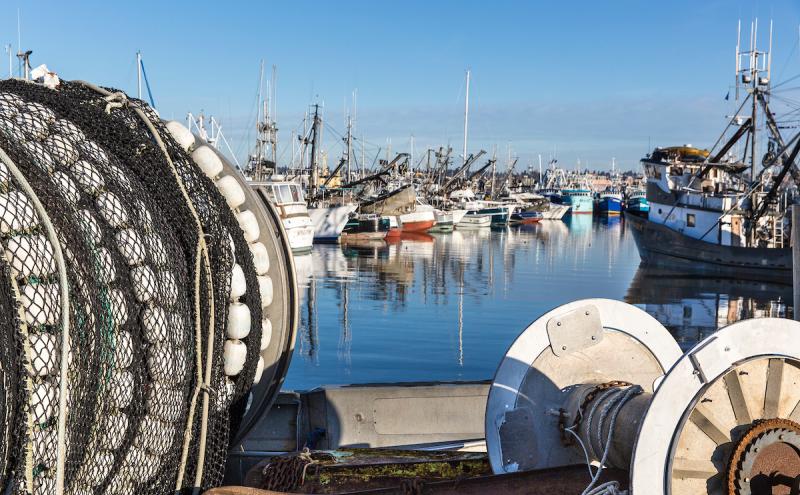 View of commercial fishing vessels from the deck of a boat