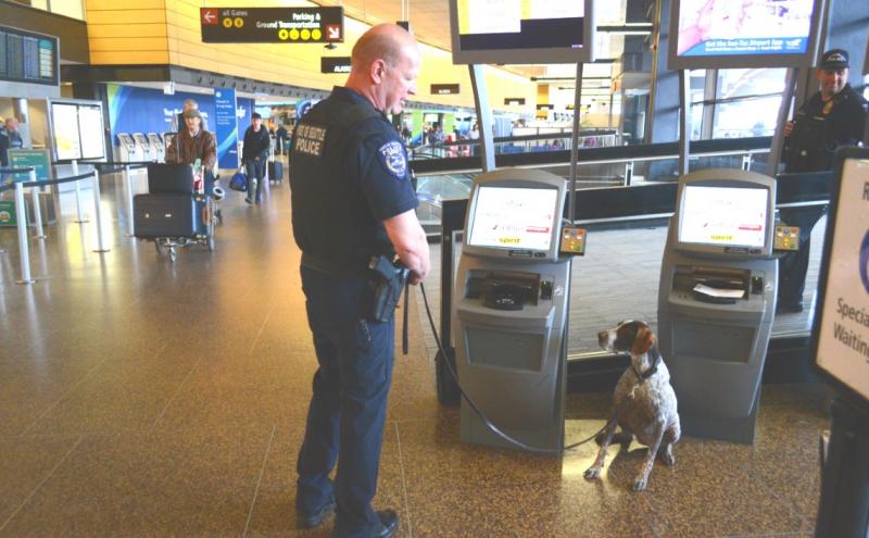 Officer Bella on patrol in the terminal.