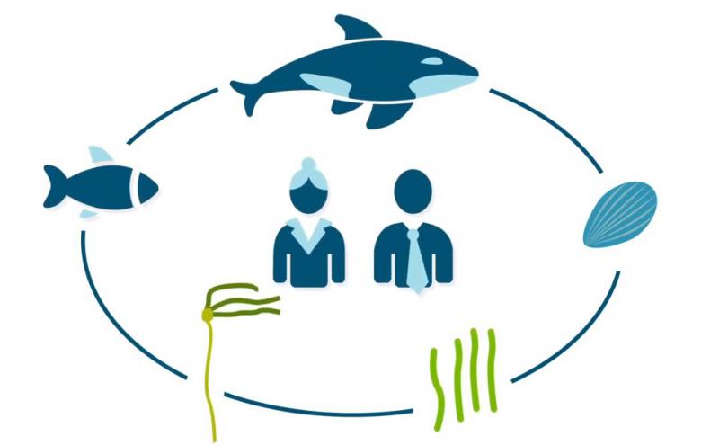 Blue carbon circle of life graphic.