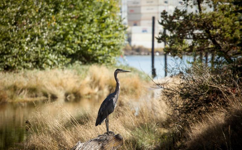 Sustainability at the Port.