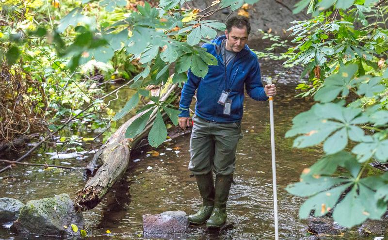 Environmental staff monitor the health of Miller Creek