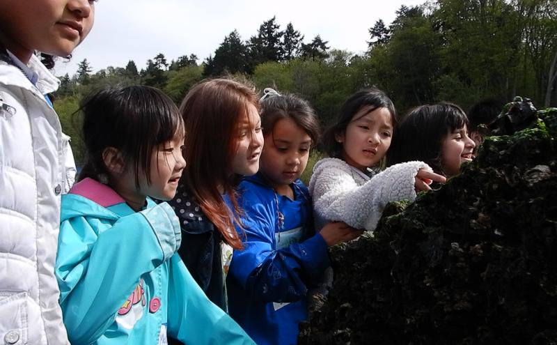 Students from Southern Heights Elementary School discover animals at Seahurst Beach.