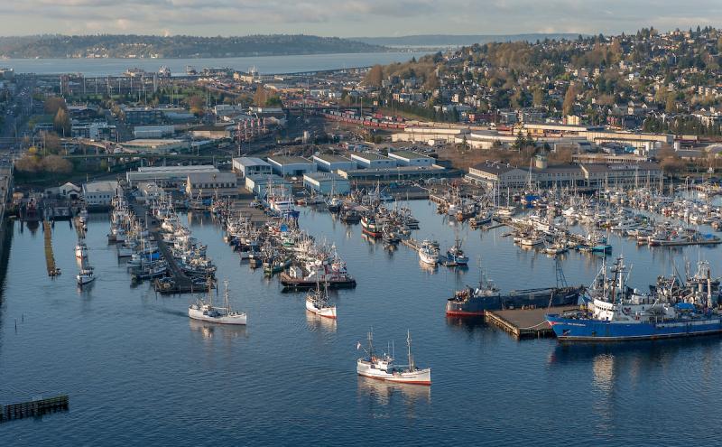Halibut Schooners in front of Fishermen's Terminal.