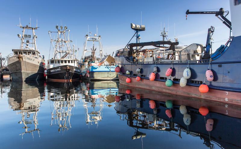 Commercial fishing boats at Fishermen's Terminal.