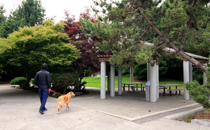 Terminal 105 park with man and dog walking towards covered picnic table