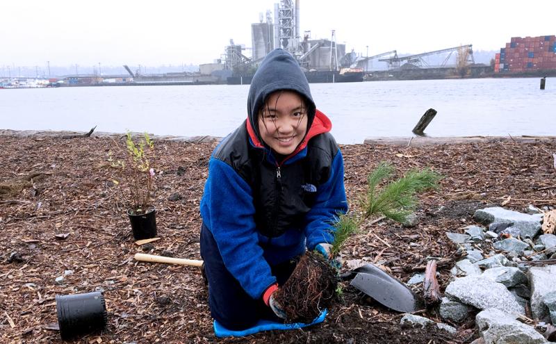 Youth plants a native species tree along the shores of the Duwamish River, April, 2019, Seattle