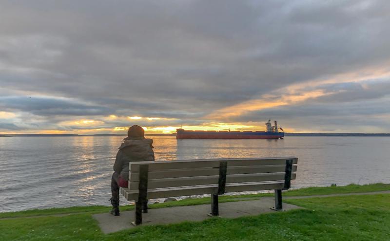 Person on a bench at Terminal 86 with a sunset and container ship.