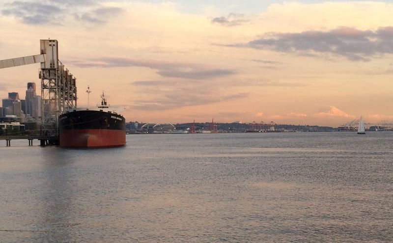 View of Elliott Bay.
