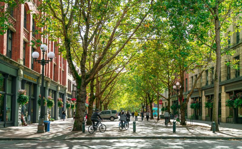 Tree‑lined city street with large leafy trees forming a canopy over the road. People ride bicycles and walk along the shaded street, which is bordered by historic brick and stone buildings with hanging flower baskets and streetlamps.