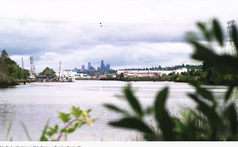 Salmon Cove Park and Shoreline Habitat Park, Tukwila, WA, July 2020