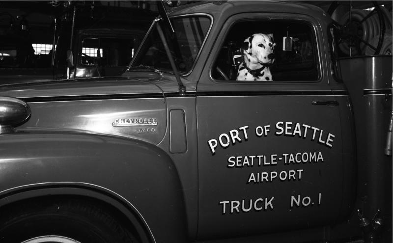Historic black and white photo of Dalmatian sitting in Port of Seattle Fire Department fire truck.