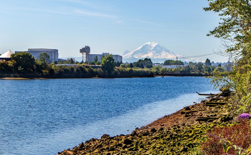Habitat restoration along the Duwamish River.