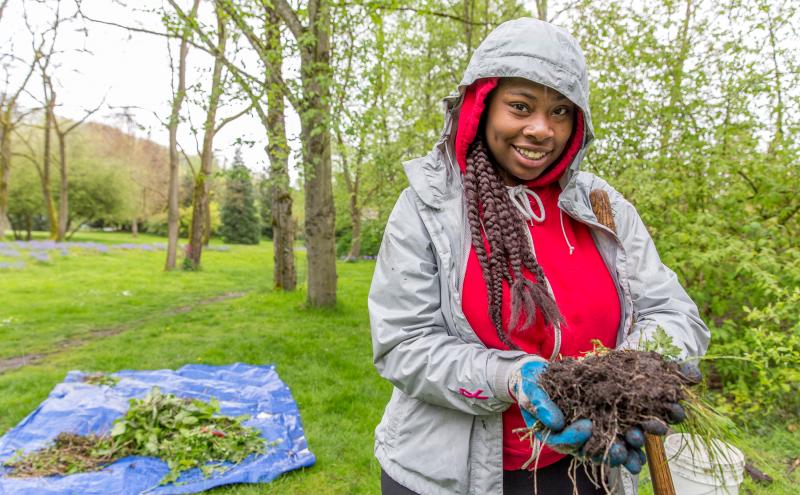 A community member wearing outdoor work clothes holds a bundle of plants and soil while working in a green, wooded area during a Duwamish habitat restoration activity.
