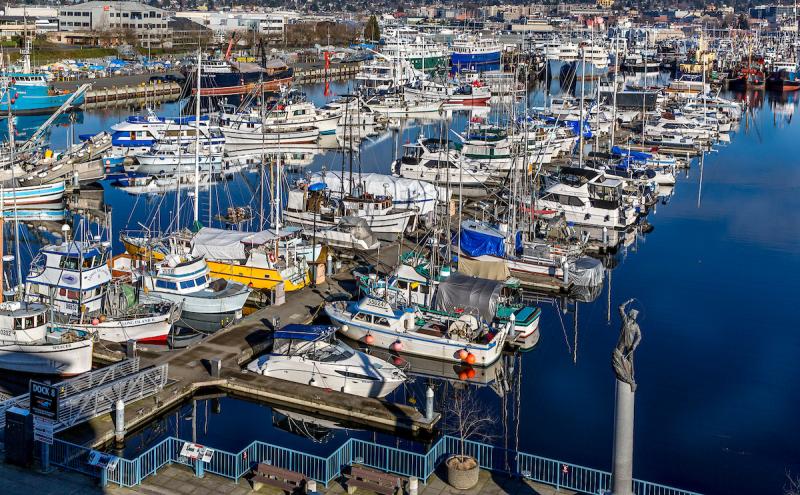 An elevated view of a busy marina filled with numerous docked boats of different sizes, including fishing vessels and smaller recreational boats. Many boats have tall masts, covered decks, or fishing gear visible onboard. The calm water reflects the boats and surrounding structures. In the foreground, a waterfront walkway with railings and benches runs beside the docks, and a tall statue stands on a pedestal near the lower right corner. Industrial buildings, additional boats, and a distant residential area 