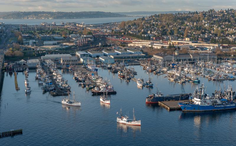 Aerial image of halibut schooners at Fishermen's Terminal