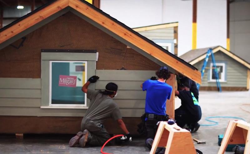 Youth participants in the Opportunity Youth Initiative install siding on a home's exterior