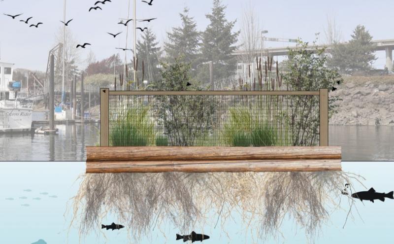 Illustration of a floating shoreline restoration planter set in a marina. The background shows moored boats, trees, and a walkway. The planter contains tall grasses, cattails, and shrubs held behind a wire-mesh frame. Logs form the planter base at the waterline. Below the surface, plant roots extend into the water, where silhouettes of fish swim. Birds fly above the scene.