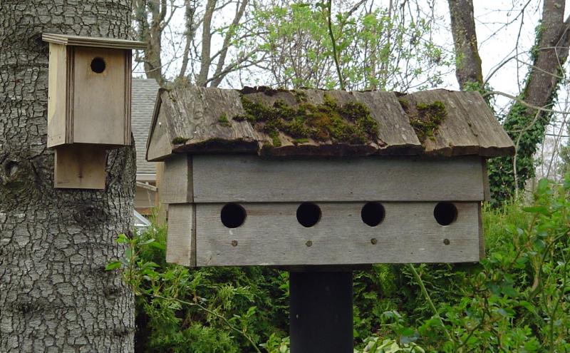 Two wooden birdhouses outdoors, one mounted on a tree and one larger multi‑hole birdhouse on a post, surrounded by greenery.