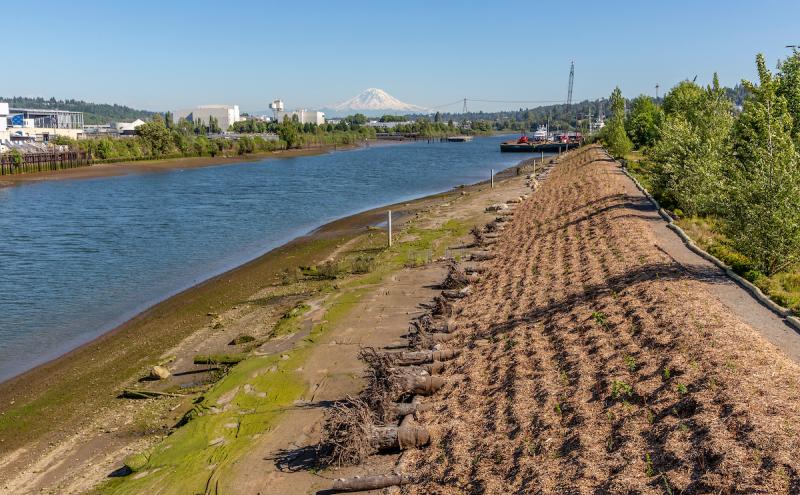 duwamish river and shoreline