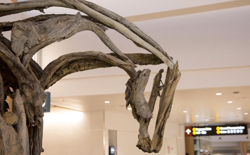 A large driftwood sculpture displayed in an indoor public space with overhead signs in the background.