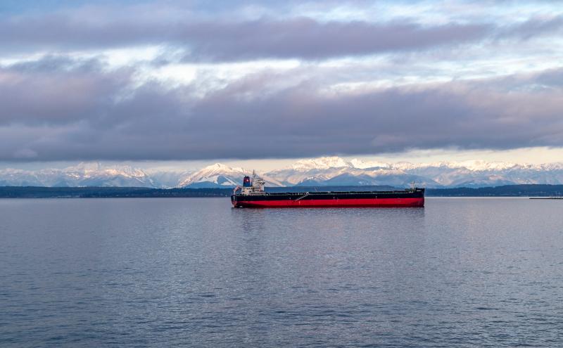 Cargo ship in Elliott Bay with Olympic Mountains in the background