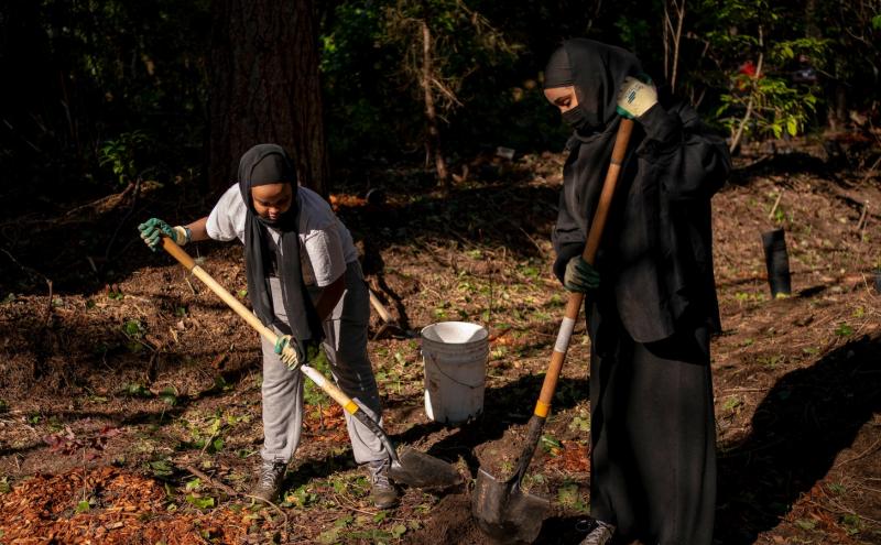 Two people using shovels to dig in a forested area during a planting or restoration activity.