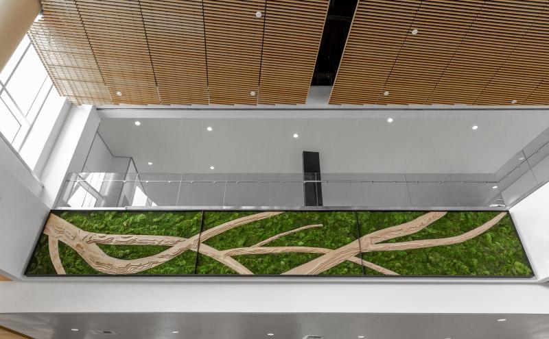 View of an airport concourse featuring a large green wall art installation with tan, branch‑like patterns, set below a glass‑railed upper level and a wood‑slatted ceiling.